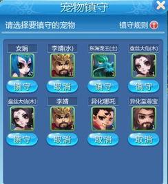 跟随宠物爆料怎么做视频,轻松制作趣味视频教程